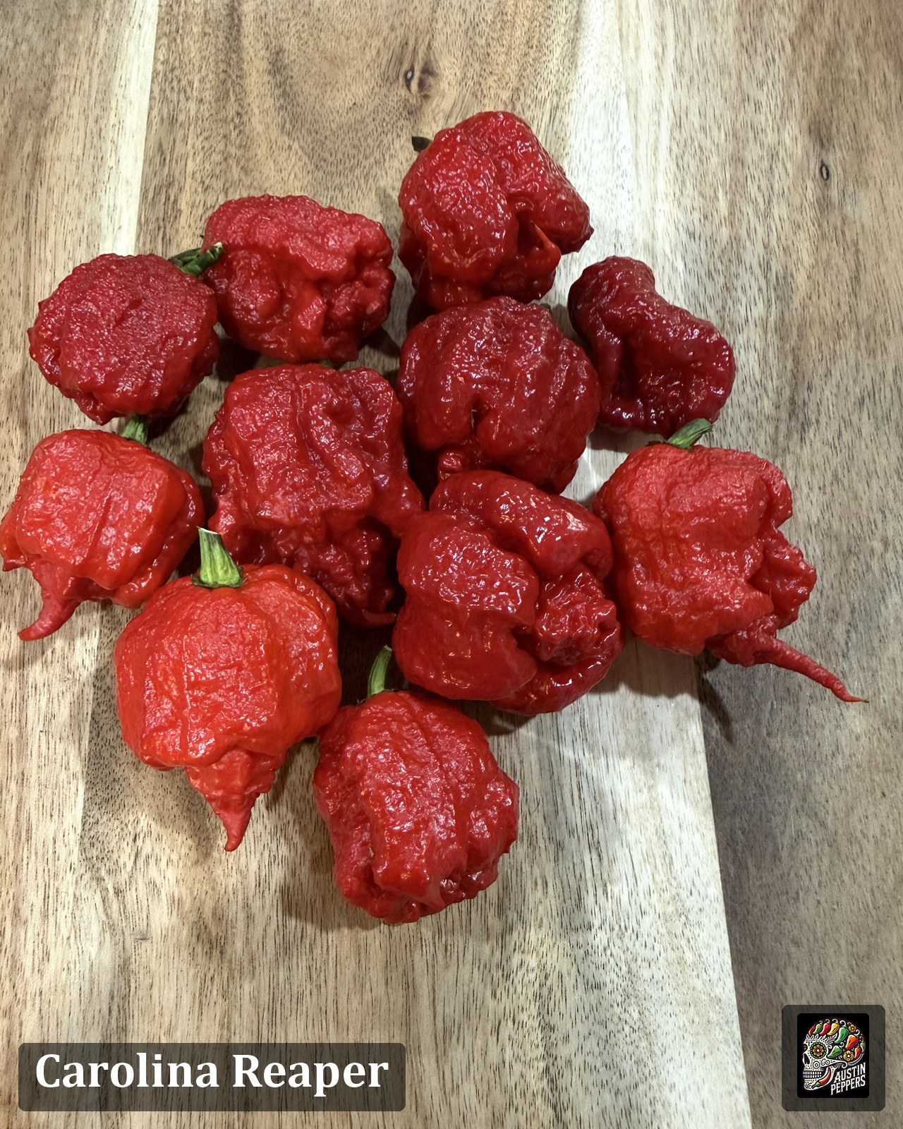 Carolina Reaper pepper