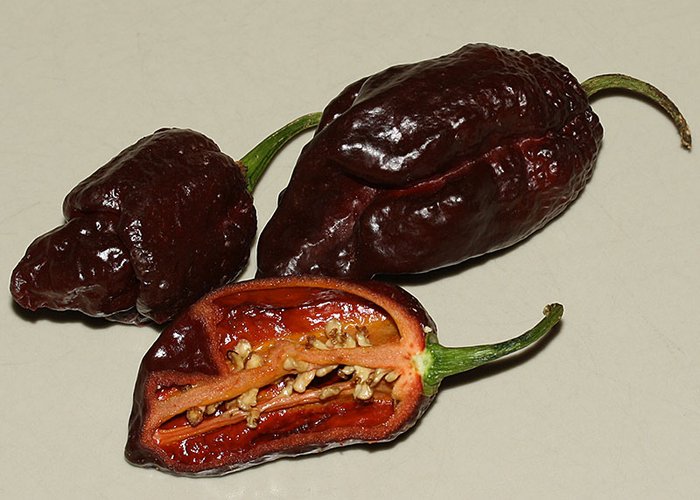 Ghost Pepper Brazilian
