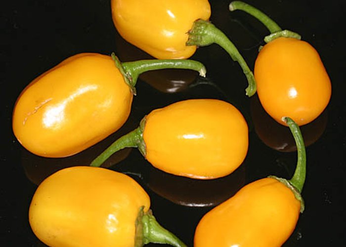 Habanero Orange Apple