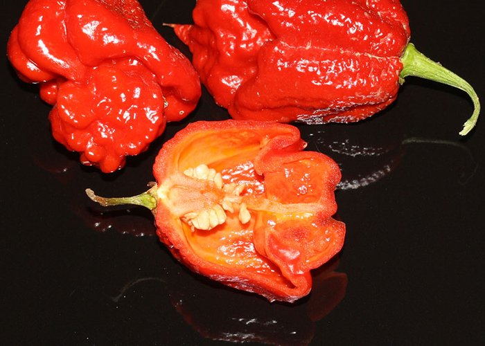 Red Ghost Pepper